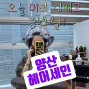 (주)해련 이미지