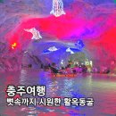 충북 충주 활옥동굴 입장료 투명카약 LED 동굴 아이랑 가족 여름 휴양지 내돈내산후기
