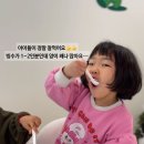 프루피Fruiffee