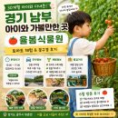 고려꽃식물원 | 경기 남부 아이와 가볼만한곳 | 30개월 아기랑 다녀온 광주 율봄식물원 토마토 체험 솔직 후기