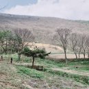 대한불교조계종꽃무릇수목공원