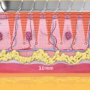 드림건강미의원 이미지