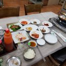 저담정농장 Daum카페