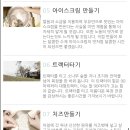 농도원목장 이미지