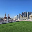 부산애견호텔 댕스스쿨 이미지