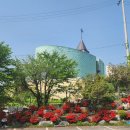 제21호 어린이공원 이미지