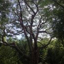 양등경로당 이미지