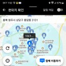 카카오와 로지의 기사 수 차이 이미지