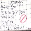 키움 이야기