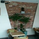 와야커피 이미지