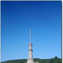 화천삼나물밥상 이미지