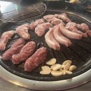 돈구이 바람났네 닭이랑 이미지