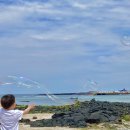 제주맘모아외과의원 이미지