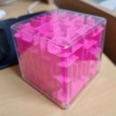 J&D GOLD | 2026 ICPC APAC Championship 후기