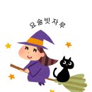 춘천 입주청소 "초록지붕 아파트" 꼼꼼하게 진행한 청소후기