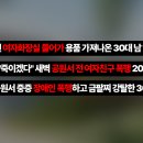 주식회사 더포스