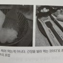 기술이 그리는 공부의 미래 이미지