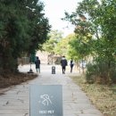 달큼이네민박 이미지