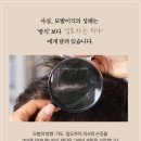 모담의원 이미지