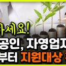 신청하세요! 소상공인, 자영업자 이제부터 지원대상 확대! 이미지