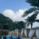 이슬펜션 | 8월 앨범털이(1) : 여름휴가_이슬펜션,일랑일랑스테이 방문 후기