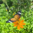 [자원순환실천하기] 양말목 물병가방, 티코스터 | 생태전환교육에 관심이 많습니다.