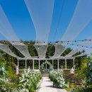 퍼스트가든 동물카페 이미지