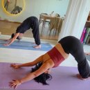 [11월특강] 몸과 마음을 치유하는 요가 | 용인 강남대 요가원 루아테라피월｜하타요가 특강 후기 &amp; 1월 저녁 수업 확대