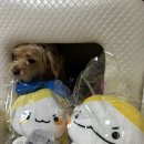 푸루무스튜디오 이미지