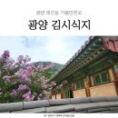 김시식지1길 이미지