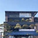 빵과당신 이미지