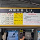 동해시-65 | 강원도 동해 가볼만한곳 추천, 천곡황금박쥐동굴 주차 입장료 아이랑 관람후기