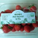 임영택농장 이미지