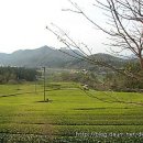 무위사 주차장 이미지