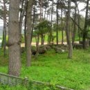 영광 성산리 지석묘군 이미지