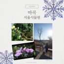 강서청소년쉼터 | 서울식물원 - 봄꽃구경 서울실내데이트 아이들과가볼만한곳 부모님과가볼만한곳