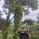 샘물농장 2 이미지