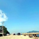 민박어항 이미지