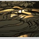 선과색