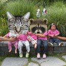 스페스11 이미지