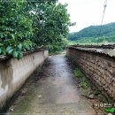 자라뫼마을 이미지