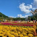 야훼이레 이미지