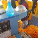 정감농장 이미지