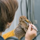 ＜경기도 북부에 &#39;야생동물구조관리센터&#39;가 생깁니다. ＞-이재명 도지사 인스타그램에서 이미지