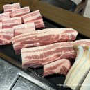 중앙동202 | [공지] 과천 정부과천청사역 맛집 회식 추천 고기집 한돈 삼겹살 중앙동 고굽진 점심 후기