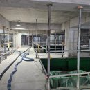 경화축사 이미지