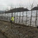 청계리농장 이미지