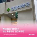 건강미약국 네이버블로그