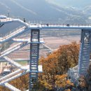 스카이타워 이미지