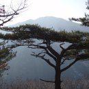 어비숲민박 이미지